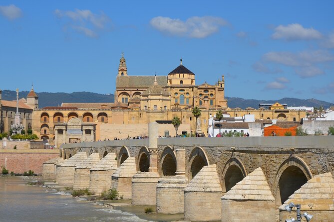 2-Day Guided Tour to Cordoba and Seville from Madrid - Day 1 on the Coach: La Mancha to Cordoba by 8:00 AM Momentum