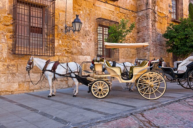 Andalusian Highlights: 6-Day Guided Tour from Madrid - Córdoba’s Jewish Quarter and the Mosque-Cathedral Day