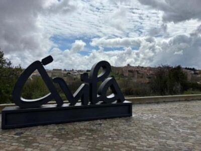 Avila and Segovia: Private Minivan Tour from Madrid - Pickup in Madrid: private, timed, and simple