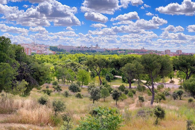 Ebike tour Madrid, green areas and panoramic views. 3 hours - Puente de Toledo: a historic Baroque bridge with classic stone views