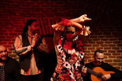 Essential Flamenco: Pure Flamenco Show in the Heart of Madrid - The Venue Setup: Three Rows, No Tables, and Acoustic Detail