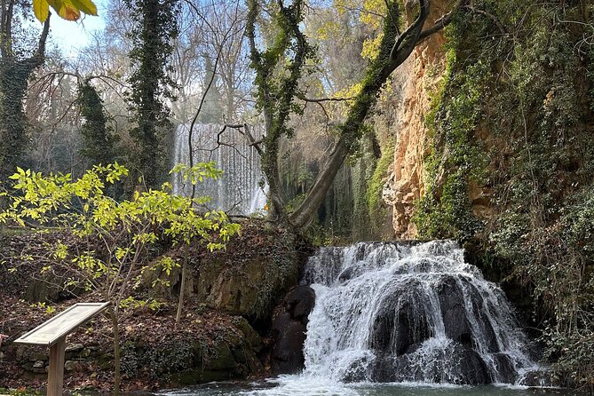Explore the Stone Monastery and discover Sigüenza from Madrid - Calatayud region-style lunch at Nuevalos: plan for what’s not included