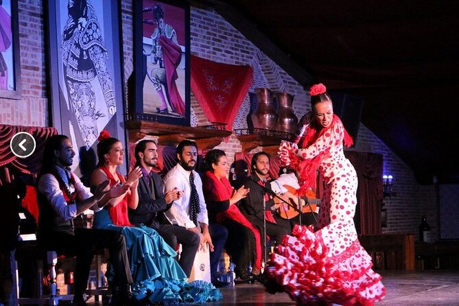 Flamenco night Show and Dinner in Madrid - The flamenco show in 2 hours: how to judge quality fast