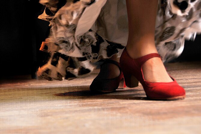 Flavours & Flamenco in Madrid Experience + Pub Crawl - Who This Tour Fits Best in Madrid