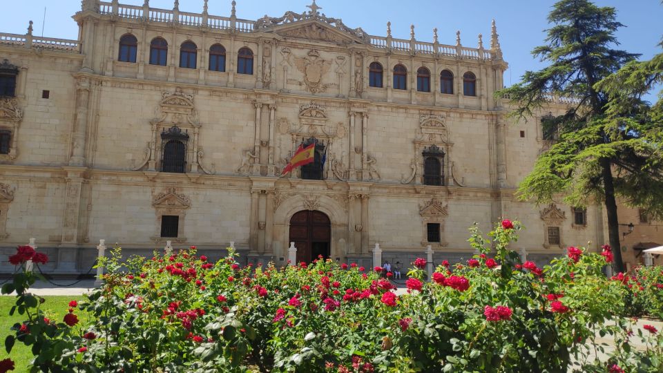From Madrid: Alcalá de Henares & Cervantes Museum Day Trip - Price and value: is $55 a fair deal from Madrid?