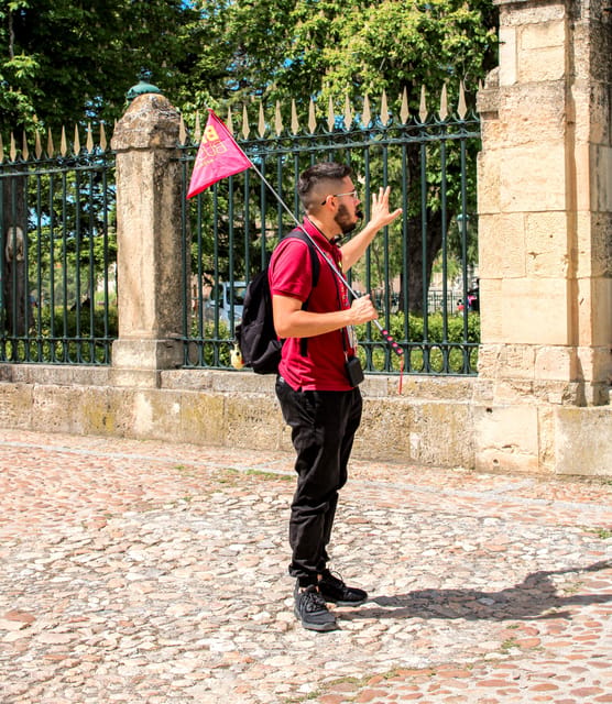 From Madrid: Ávila and Segovia Guided Day Trip - Who this day trip suits best (and who should think twice)