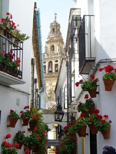 From Madrid: Cordoba and Mosque Day Trip by High-Speed Train - Atocha to Córdoba in one day: the 11-hour rhythm (and why it works)