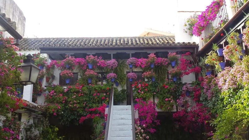 From Madrid: Cordoba and Mosque Day Trip by High-Speed Train - La Judería and the Córdoba Synagogue: walking through the Jewish Quarter area