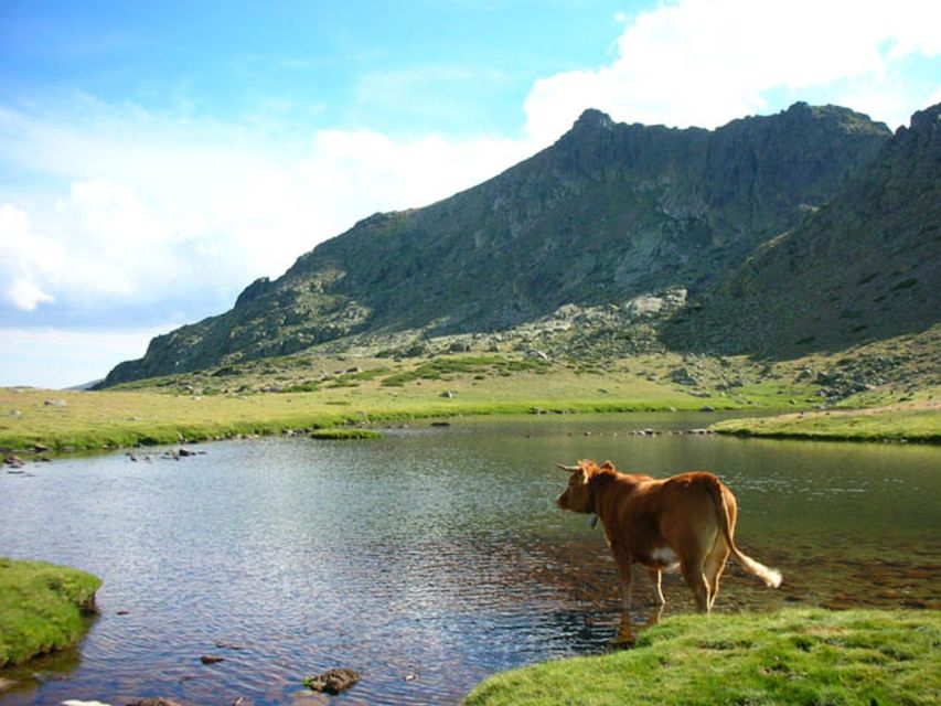 From Madrid: Day Trip to Guadarrama National Park - Navacerrada lunch break: eat, reset, and handle altitude reality