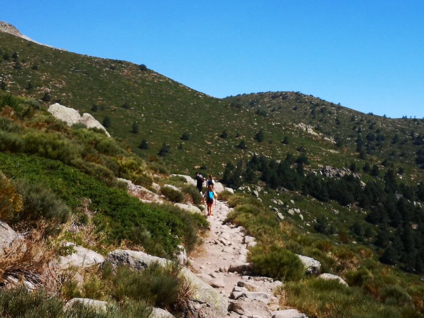 From Madrid: Day Trip to Guadarrama National Park - Puerto de Navacerrada and Puerto de Cotos: short stops, big payoff