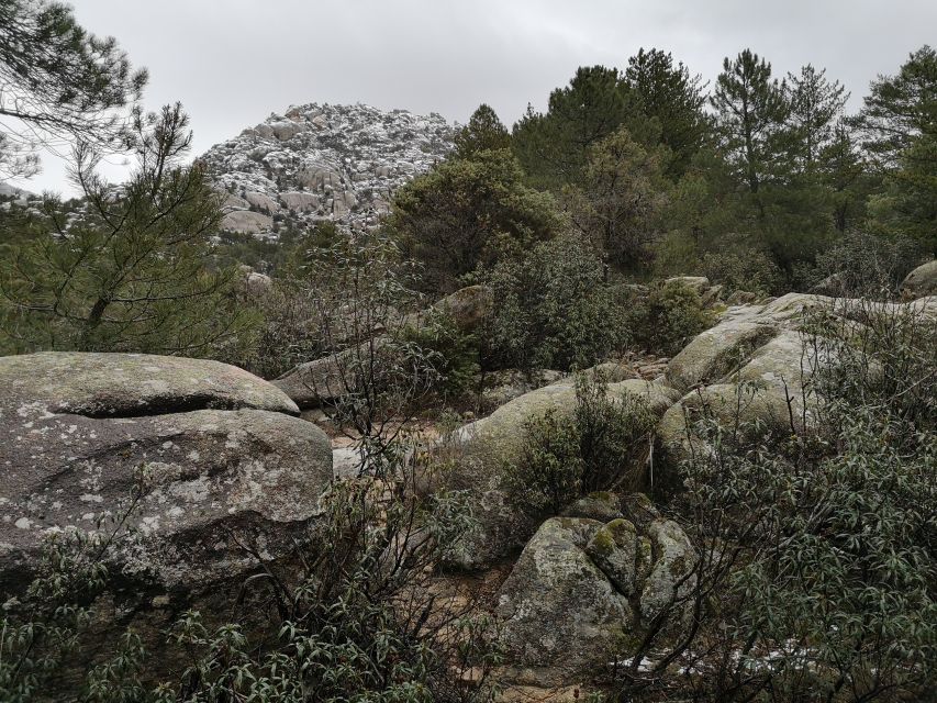 From Madrid: Day Trip to Guadarrama National Park - Comfort, pace, and “who should go”