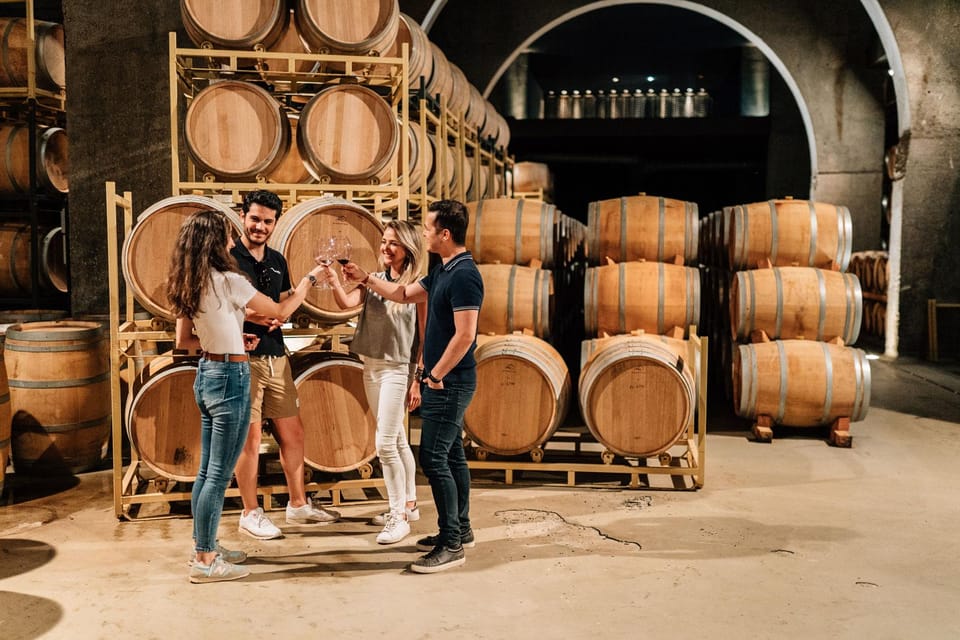 From Madrid: Ribera del Duero Winery and Segovia Tour - Key highlights you’ll care about