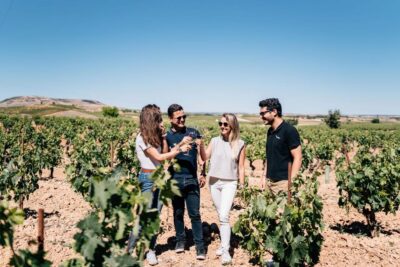 From Madrid: Ribera del Duero Winery and Segovia Tour - Getting from Madrid: coach time that you can plan around