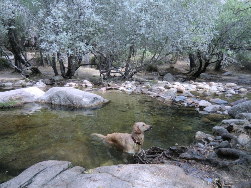 From Madrid: Sierra de Guadarrama Hiking Day Trip - Photos, Skip-the-Line, and the Private-Group Feel