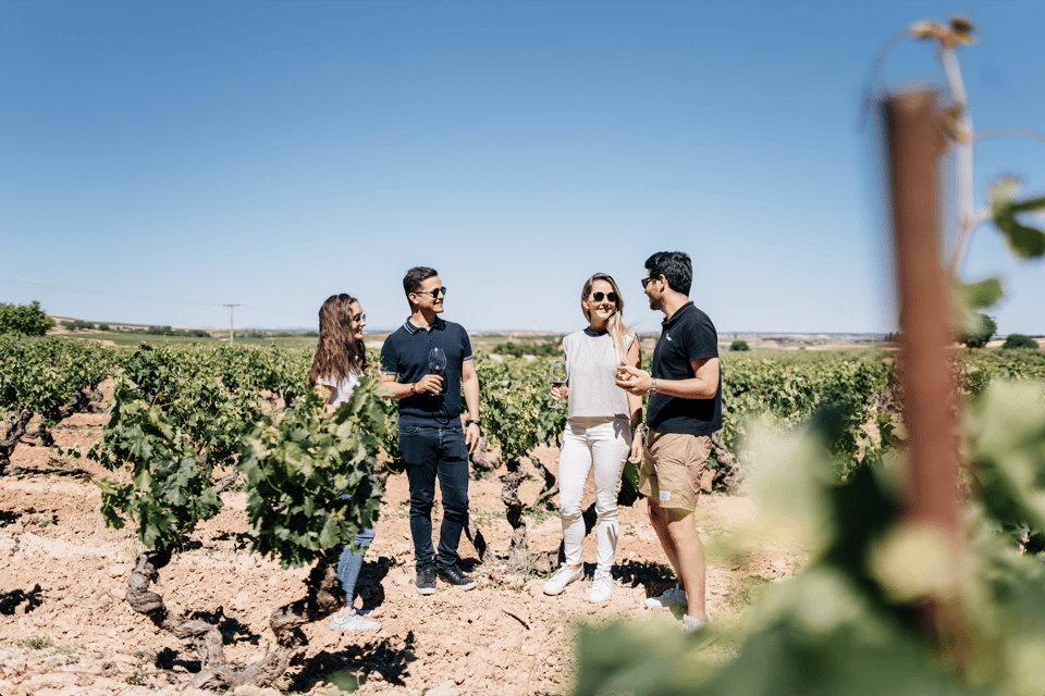 From Madrid: Traditional Villages, Winery Tour & Tapas Lunch - Key highlights