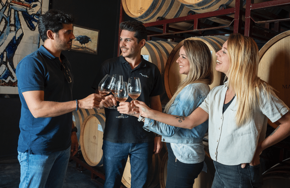 From Madrid: Traditional Villages, Winery Tour & Tapas Lunch - Bodega Vinas de El Regajal: guided visit time at a second wine stop