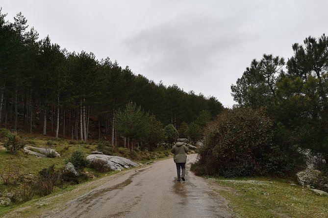 Full-Day Private Guided Tour to Guadarrama National Park - A Madrid day trip that actually feels like getting away