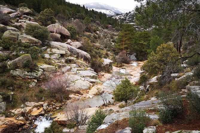 Full-Day Private Guided Tour to Guadarrama National Park - Sierra de Guadarrama: the park details you’ll care about in real life