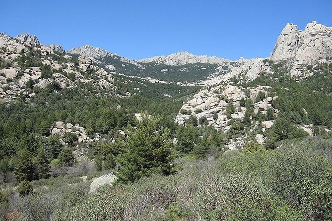Full-Day Private Guided Tour to Guadarrama National Park - The Manzanares El Real Castle stop: plan for tickets and timing