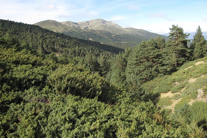Guadarrama National Park from Madrid - From Madrid to the Sierra: getting there without stress