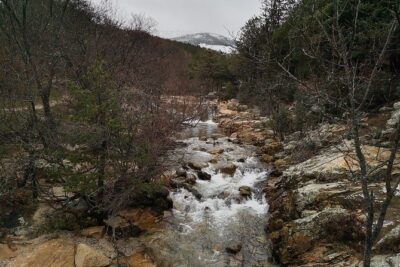 Guadarrama National Park from Madrid - What you see inside Guadarrama National Park