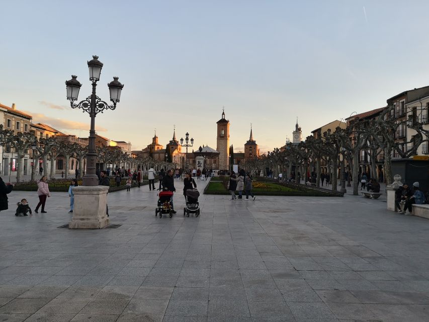 Half-Day Trip from Madrid: Alcalá de Henares & Winery Visit - When the Tour Guide Really Makes It: What You Get from the Human Touch
