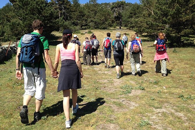 Hiking in Madrid National Park with Transport - Price and Value: Is $204.70 Reasonable?