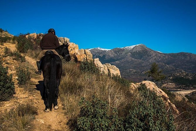 Horse Riding Madrid Natural Park - Meeting point and farm access: Collado Mediano practical reality