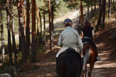Horse Riding Madrid Natural Park - The trail ride itself: what to expect on the mountain trail