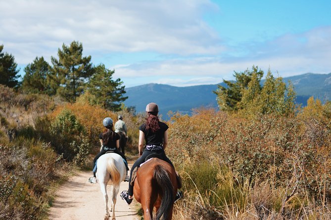 Horse Riding Madrid Natural Park - Getting there smoothly from Madrid: the “don’t wing it” tip