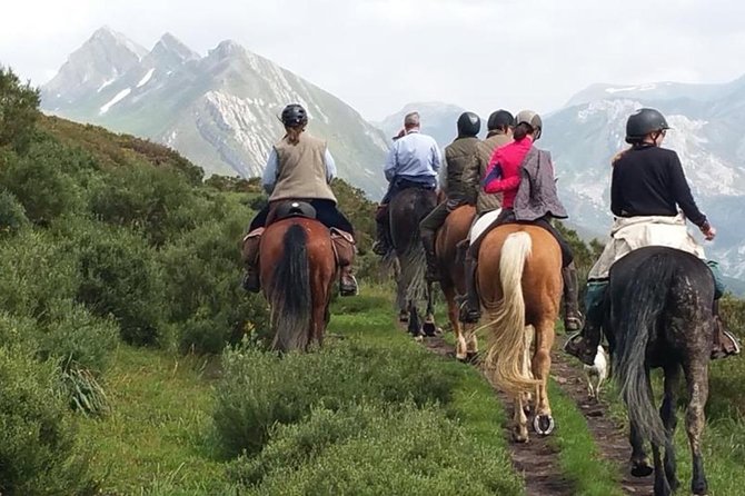 Horse Riding Madrid Natural Park (long Trip) - Key Highlights to Know Before You Go