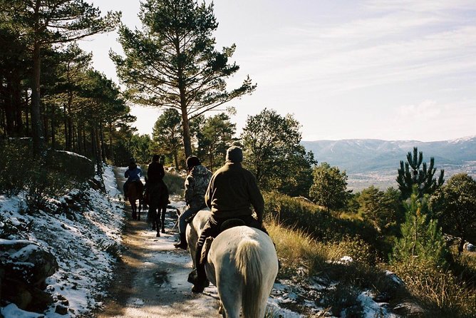 Horse Riding Madrid Natural Park (long Trip) - Riding Level Reality Check: Medium/Advanced for the 4.5-Hour Trip