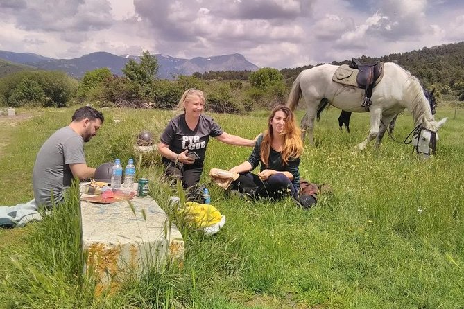 Horse Riding Madrid Natural Park (long Trip) - What You’ll Get From Guides (And Why Quick Messages Matter)
