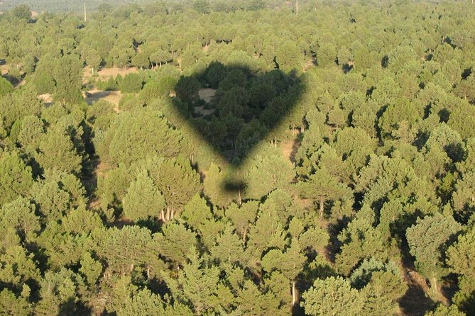 Hot-Air Balloon Ride over Madrid’s Guadarrama Regional Park - The one-hour flight: how the ride moves over Guadarrama
