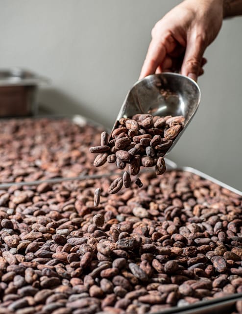 KAIACAO Bean to Bar and Design your own chocolate experience - From farm-to-lab: sorting, roasting, winnowing, then making chocolate