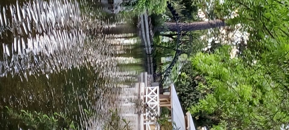 Madrid: El Capricho Park Tour - Price and Value: What You’re Really Paying For at $23