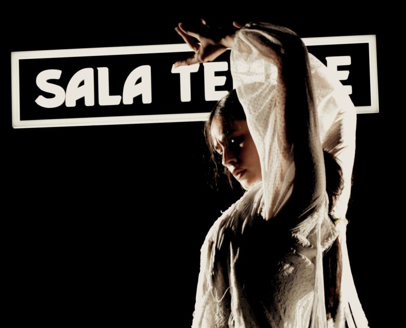 Madrid: Flamenco Show at Tablao Sala Temple with Drink - Price and value: what $29 really buys you in Madrid