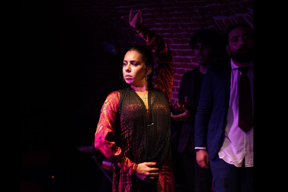 Madrid: Flamenco Show Entry Ticket with Drink & Artist Talk - Flamenco in an 1850s vaulted cave: the acoustics you can feel