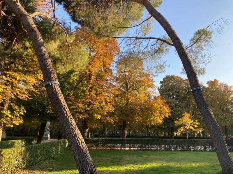 Madrid: Flow Yoga class in Retiro Park - Nature Adds More Than Pretty Photos: Deep Breathing in a Tree-Rich Park
