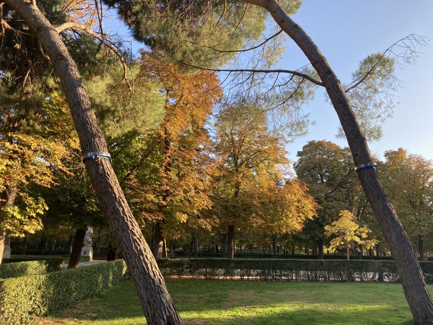 Madrid: Flow Yoga class in Retiro Park - Practical Prep: What to Bring and How to Get Comfortable