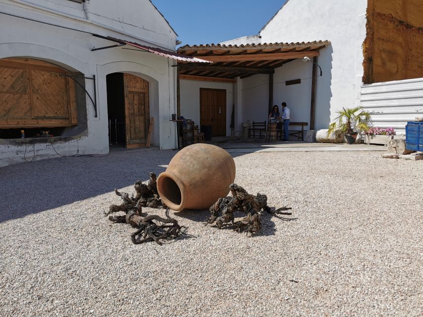 Madrid: half day wine region tour - Practical tips to make your day smoother