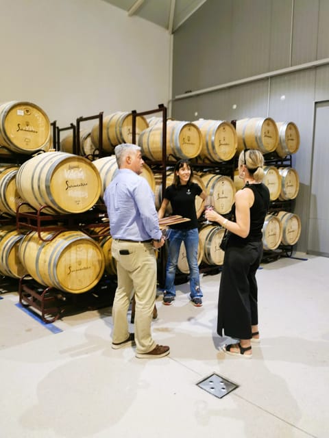 Madrid: half day wine region tour - Two winery visits, led by the people who make the wine