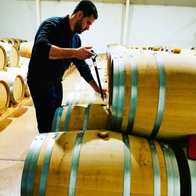 Madrid: half day wine region tour - What you’ll taste: reds, whites, rosés, and sparklings