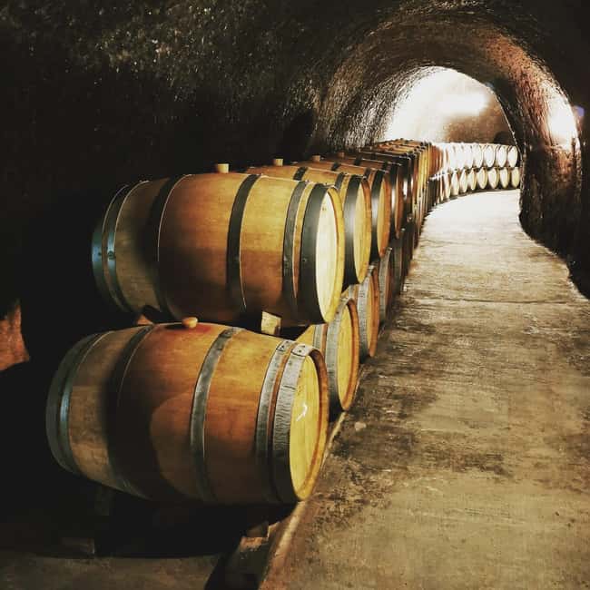 Madrid: half day wine region tour - Price and value: is $182 fair for 6 hours?