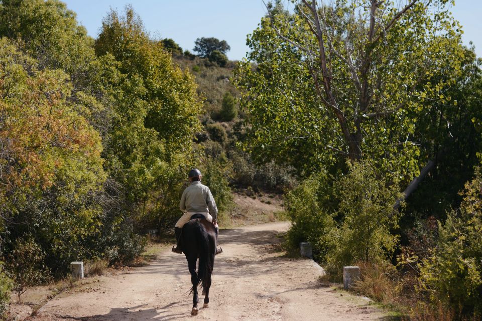 Madrid: Horse Riding in Sierra del Guadarrama National Park - What You’ll Do When You’re Not Riding Yet
