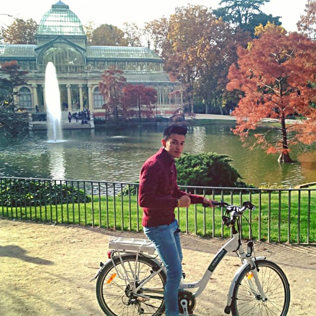 Madrid: Literary Quarter & Retiro Park Electric Bike Tour - Gliding Back to the City Core: Alcala Gate, Cibeles, and Puerta del Sol