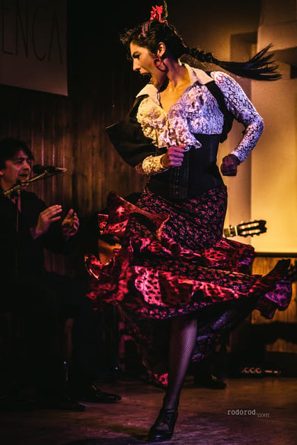 Madrid: Local Flamenco Show at El Cortijo - Singer, guitarist, and dancers: the performance style you’ll notice first