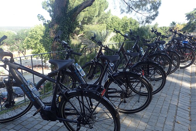 Madrid Parks & Riverside Bike Tour - Campo del Moro: a short garden walk with big palace energy