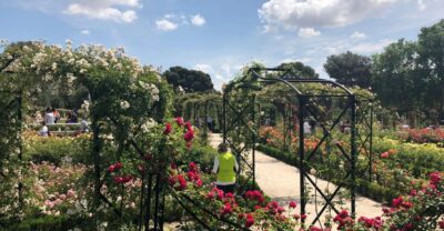 Madrid: Prado Avenue and Retiro Park Guided Walking Tour - Meeting at Banco de España and Plaza de Cibeles: Start Where Madrid Shows Off