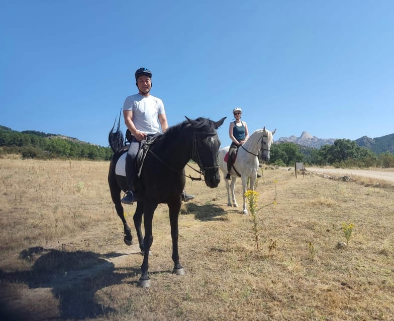 Madrid: Private Horseback Riding in Pedriza NP & Transport - Private guide and well cared horses: who this ride suits best